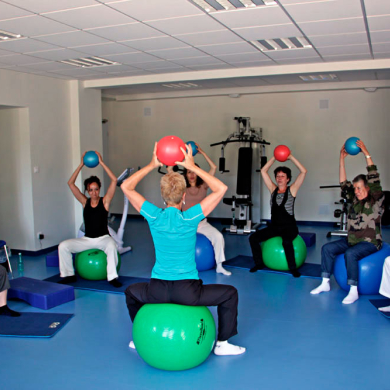 Séance de swissball